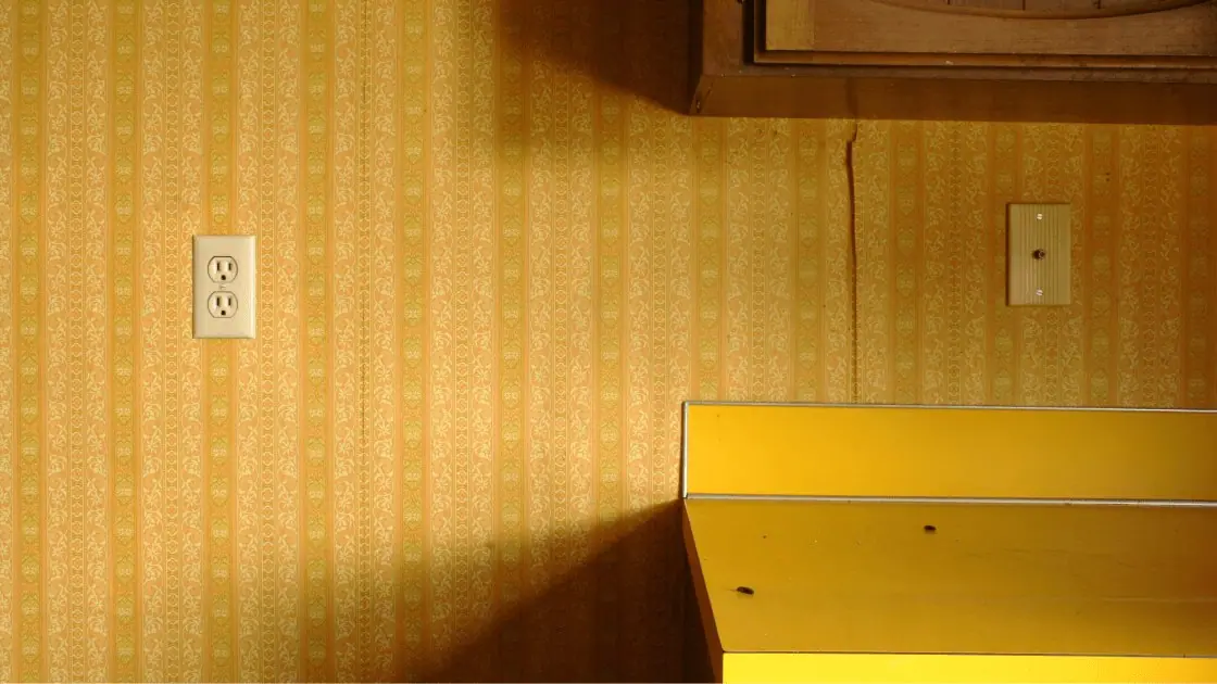 Kitchen wall and counter where rat droppings were found