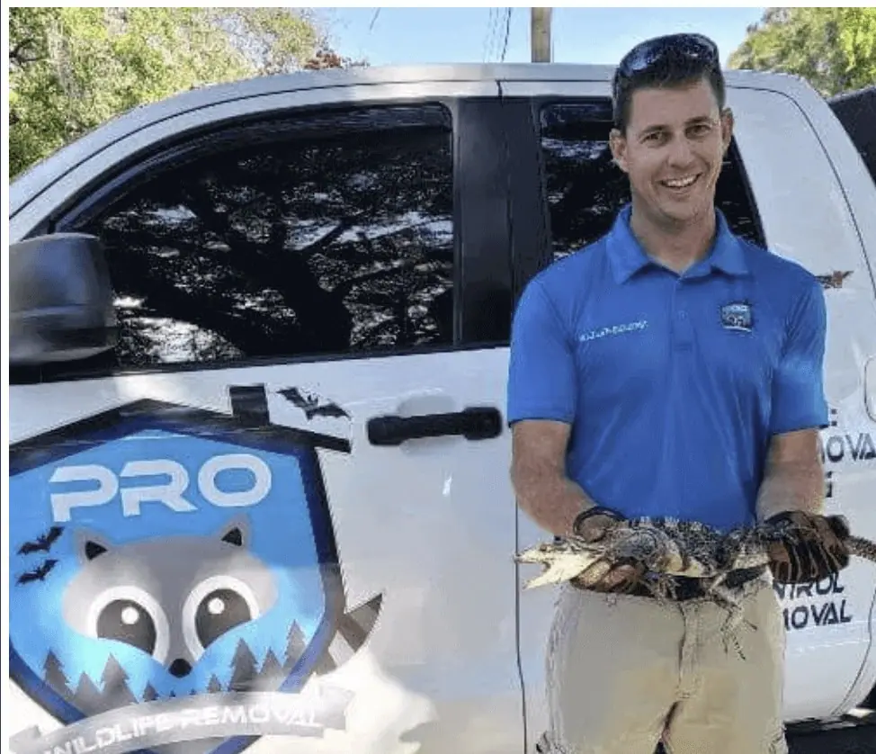 Pro Wildlife Removal technician holding a captured iguana beside a company truck