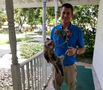 Pro Wildlife Removal technician holding a captured animal on a porch