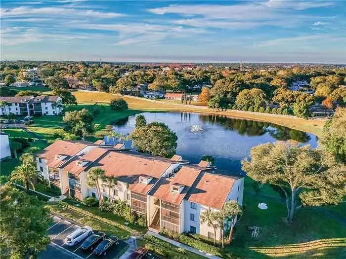 Aerial view of homes and a lake in Palm Harbor, Florida